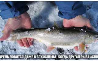 Делаем донку на форель