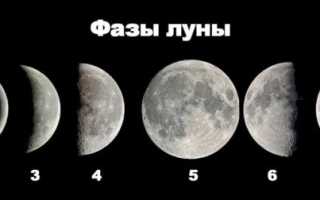 Читать онлайн «За щукой по малым водоёмам»