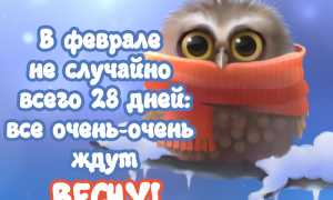 Смешные и романтичные статусы про февраль