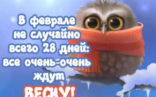 Смешные и романтичные статусы про февраль