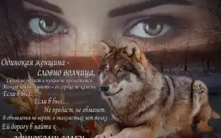 Статусы для одинокого волка