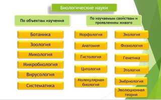 Удивительный мир биологии