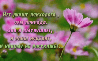 Прекрасные статусы про природу