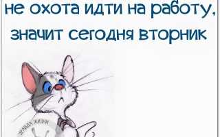 Статусы про вторник