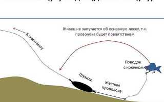 NETOBSERVER.RU