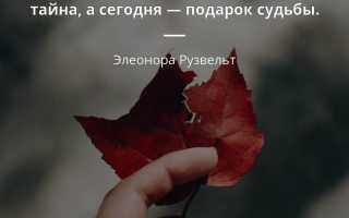 Точные статусы о судьбе и жизни