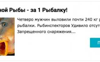 Как и где ловить леща в апреле?