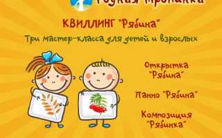 Мастер класс по квиллингу для начинающих: рябина, картины и бабочка