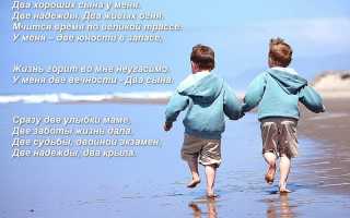 Душевные статусы про двух сыновей