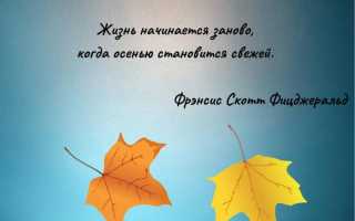 Самые разные статусы про осеннее настроение