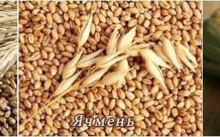 Производство спирта из зерна