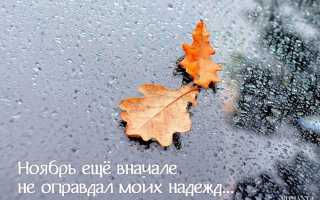 Самые красивые и необычные статусы про ноябрь
