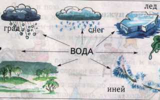 Удивительное о воде
