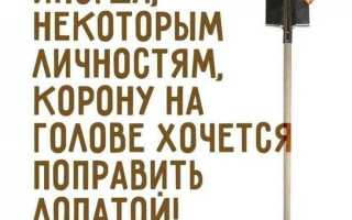 Статусы про корону на голове