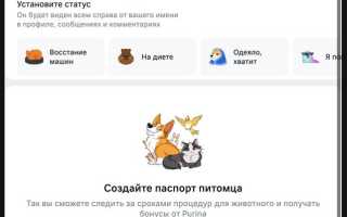 Какие бывают статусы Вконтакте?