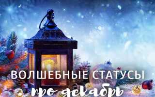 Невероятные статусы про сказочный декабрь