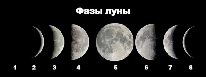 Фазы луны