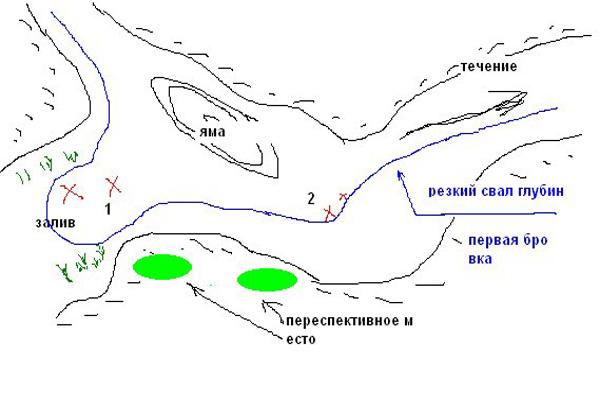 Где ловить