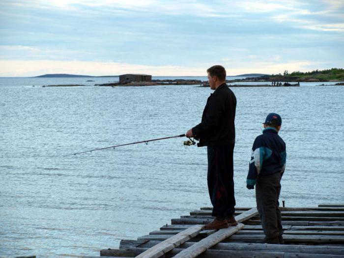 Карелия Белое море рыбалка