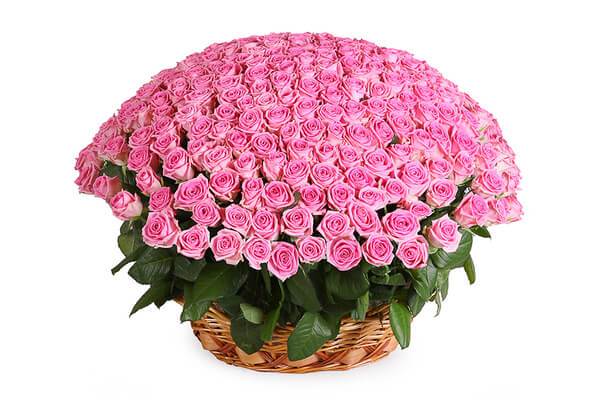 Картинки цветы красивые букеты
