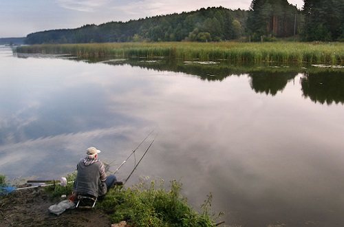 не клюет карась