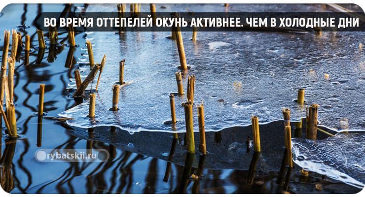 Оттепель и таяние льда