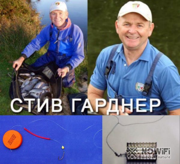 Петля Гарднера что это