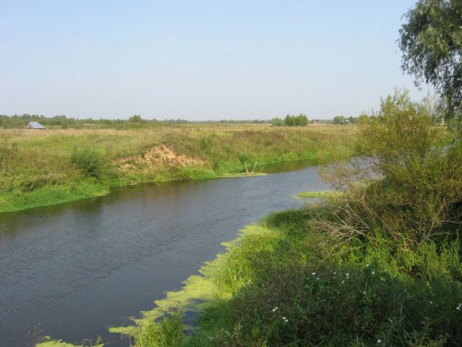 р. Сестра