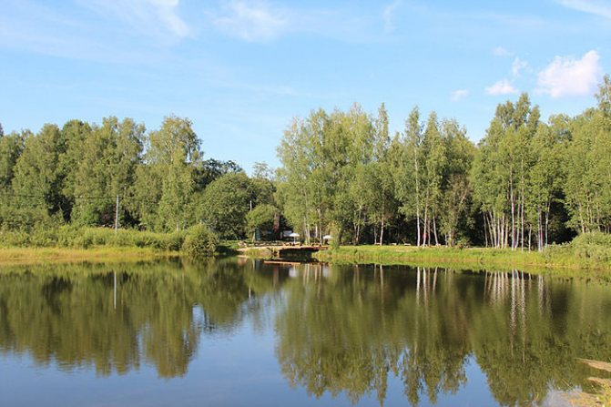 Рыбалка в Дмитровском районе Ваньково