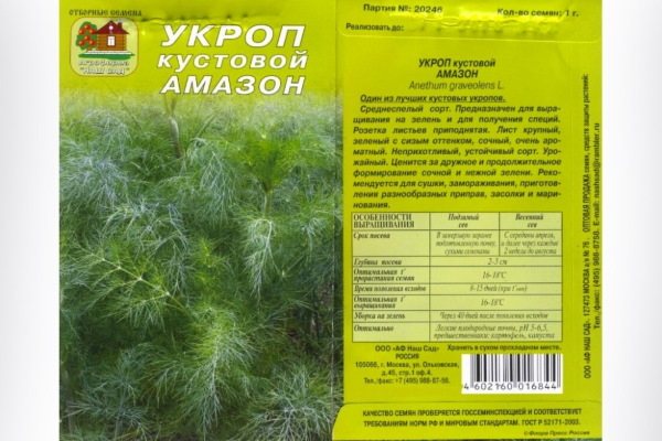 Укроп из семян. Выращивание на подоконнике для начинающих