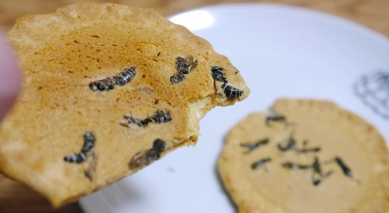 Wasp Crackers