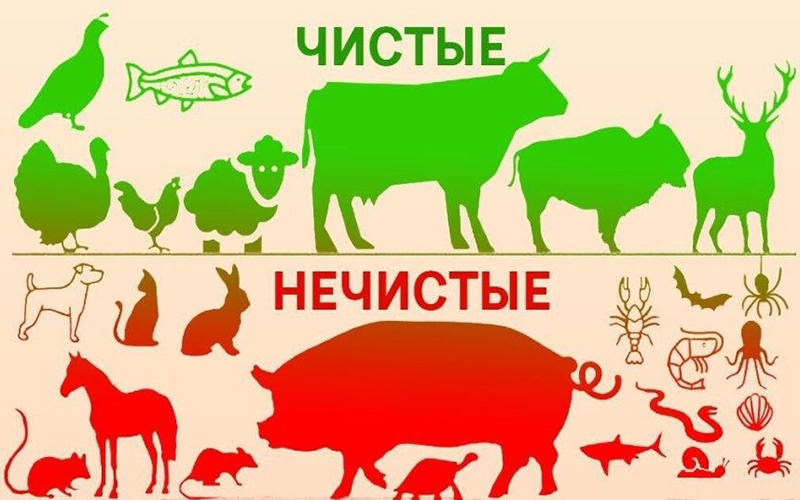 Кашрут