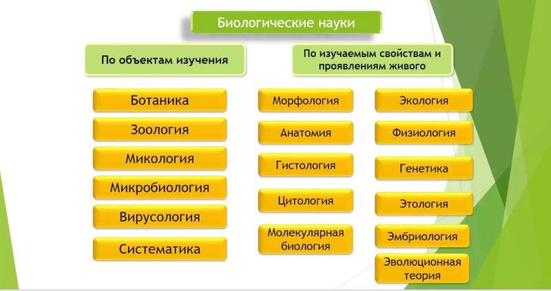Современная биология