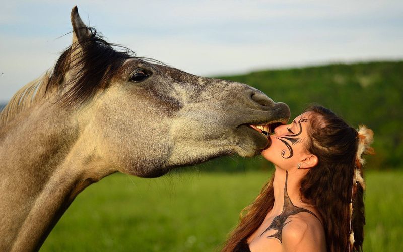 Лошадь и девушка