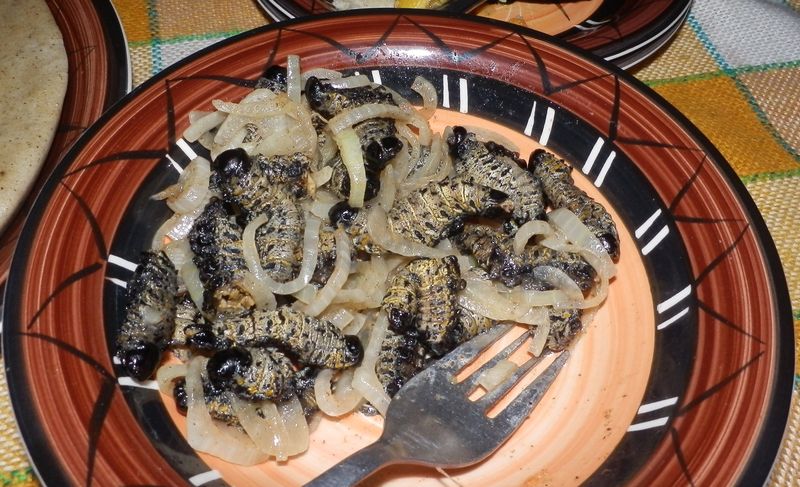 Мопане